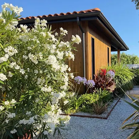 Design, Charme Avec Piscine Gujan-Mestras