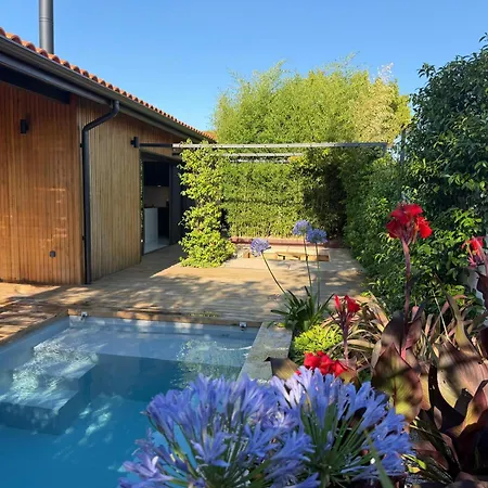 Design, Charme Avec Piscine Gujan-Mestras